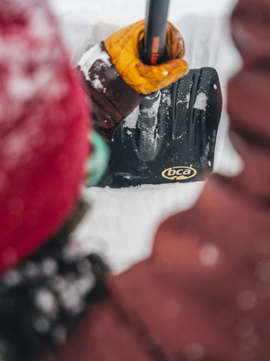 bca_2324_dozer-2t-s_shovel_C2216001_8